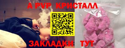 твердый Пугачёв